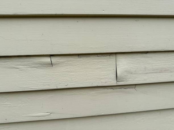 Best Siding Maintenance  in USA